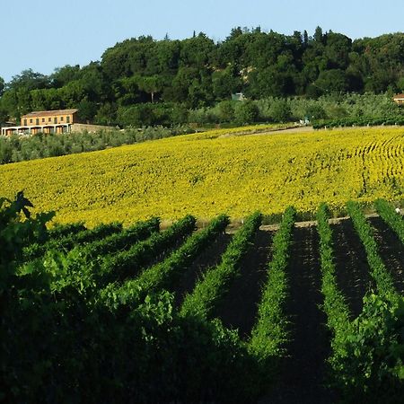 Bio Agriturismo Il Torrione Saturnia Exterior foto