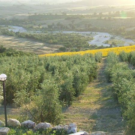 Bio Agriturismo Il Torrione Villa Saturnia Exterior foto