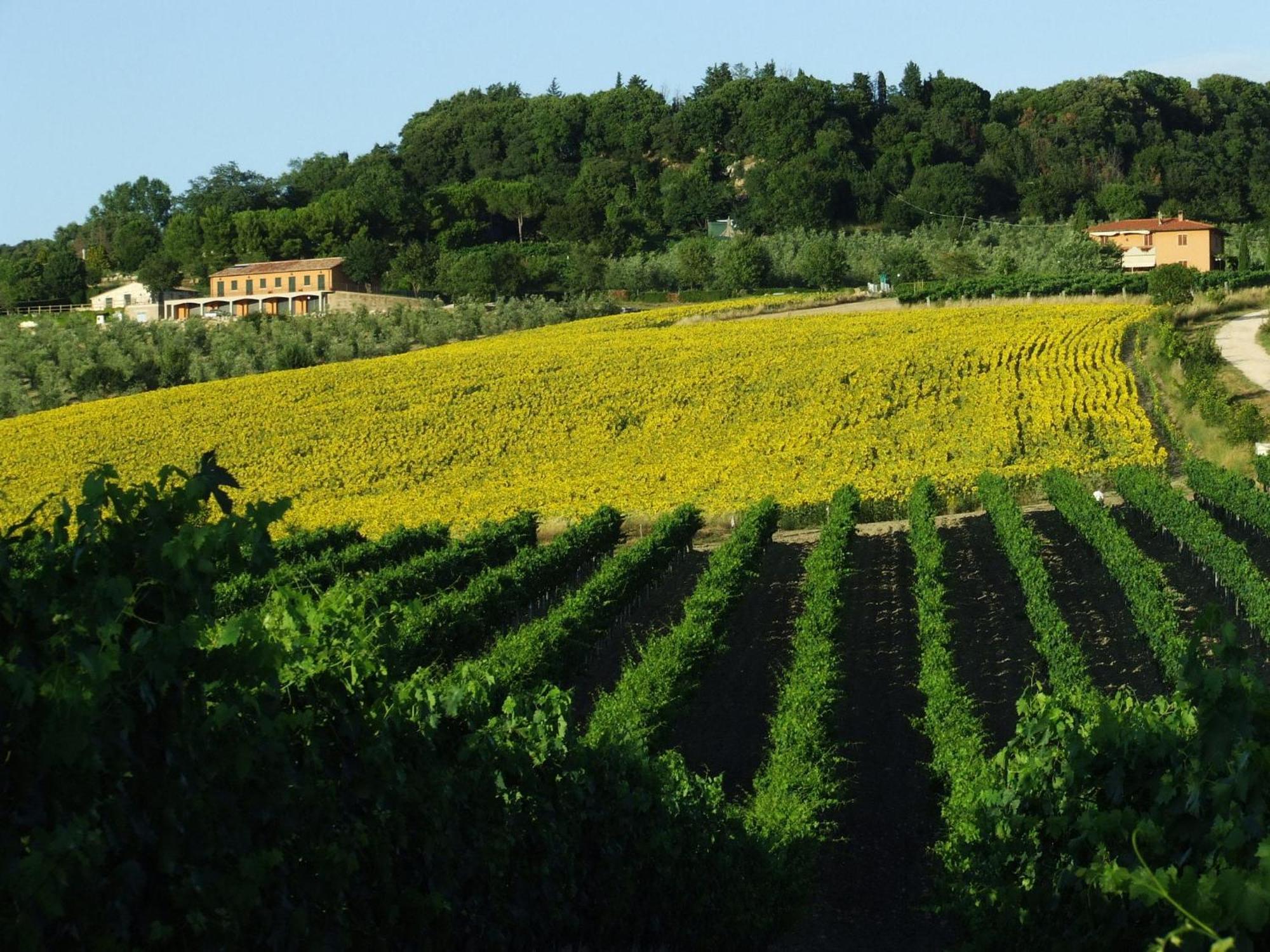 Bio Agriturismo Il Torrione Saturnia Exterior foto