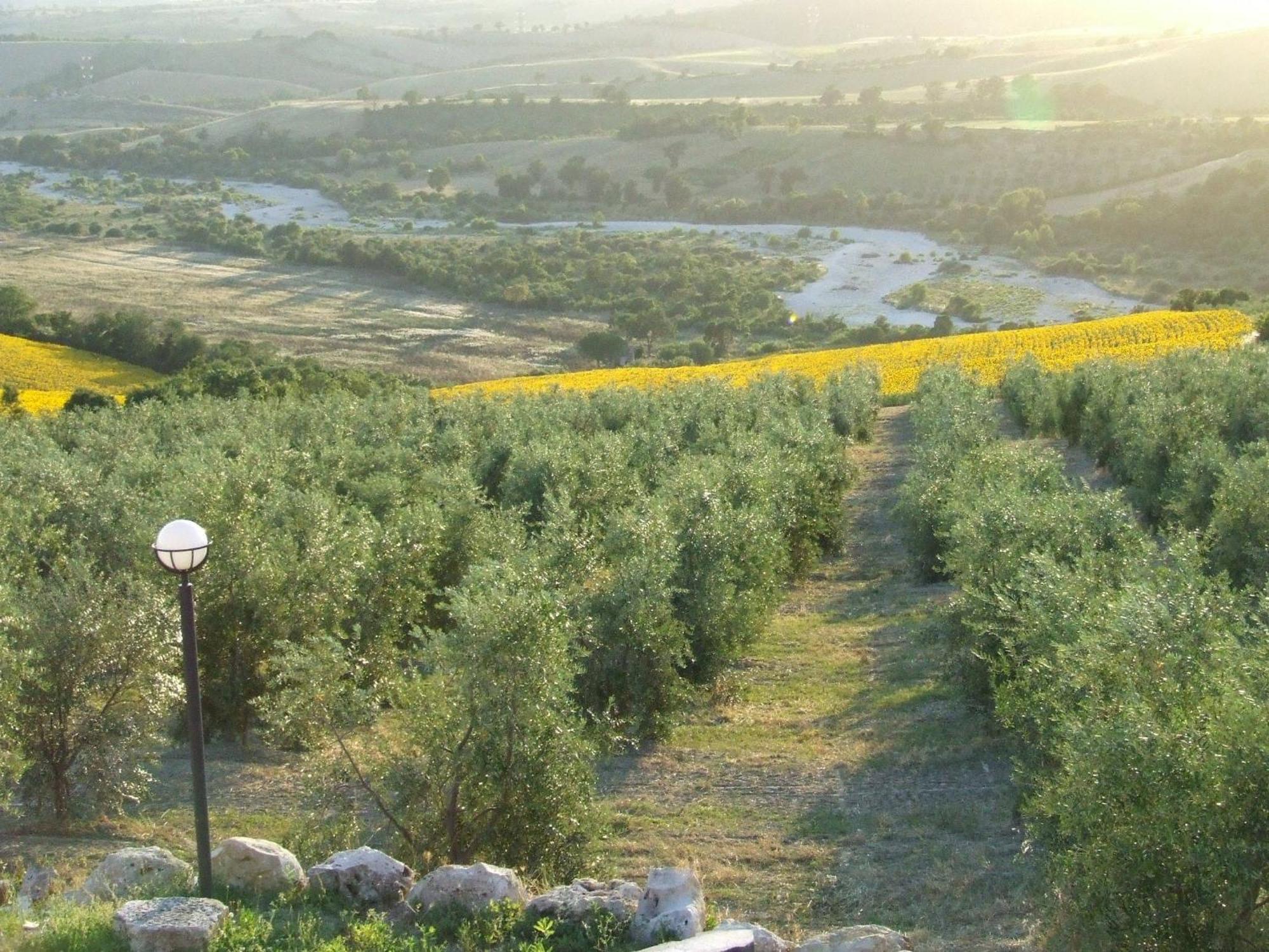 Bio Agriturismo Il Torrione Villa Saturnia Exterior foto